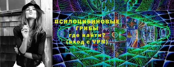 стаф Алексеевка