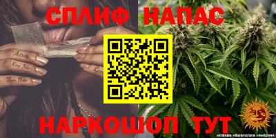 ECSTASY Кандалакша