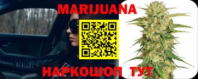 сатива Канаш