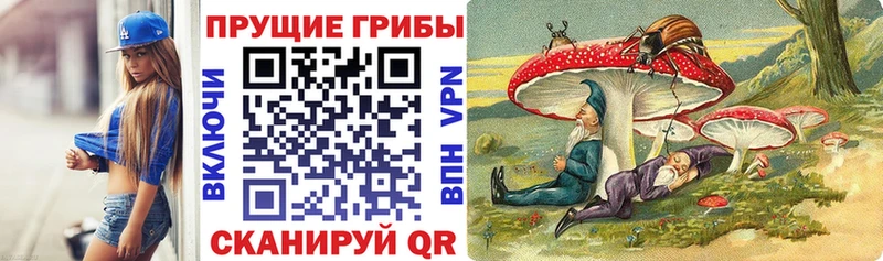 Галлюциногенные грибы Psilocybine cubensis  Балабаново 