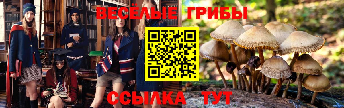 наркота  Псилоцибиновые грибы мухоморы  Вход с VPN  Балабаново 